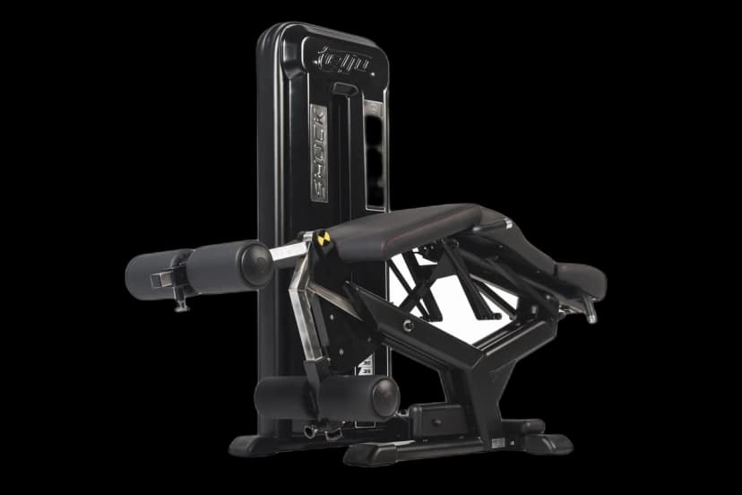 Leg Extension / Leg Curl Combo