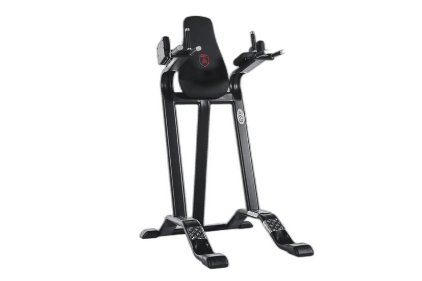 Dip Station / Leg Raise