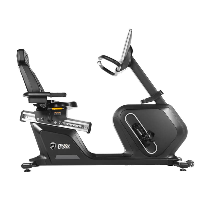 Recumbent Bike Healthy Pro