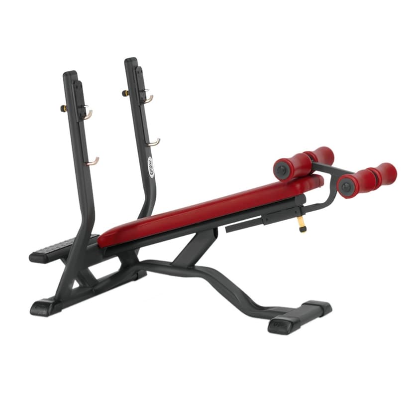 Decline Bench