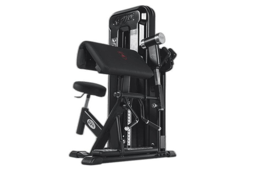 Seated Biceps Curl