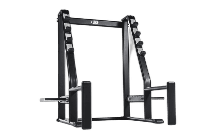 Squat Stand with Plate Holder